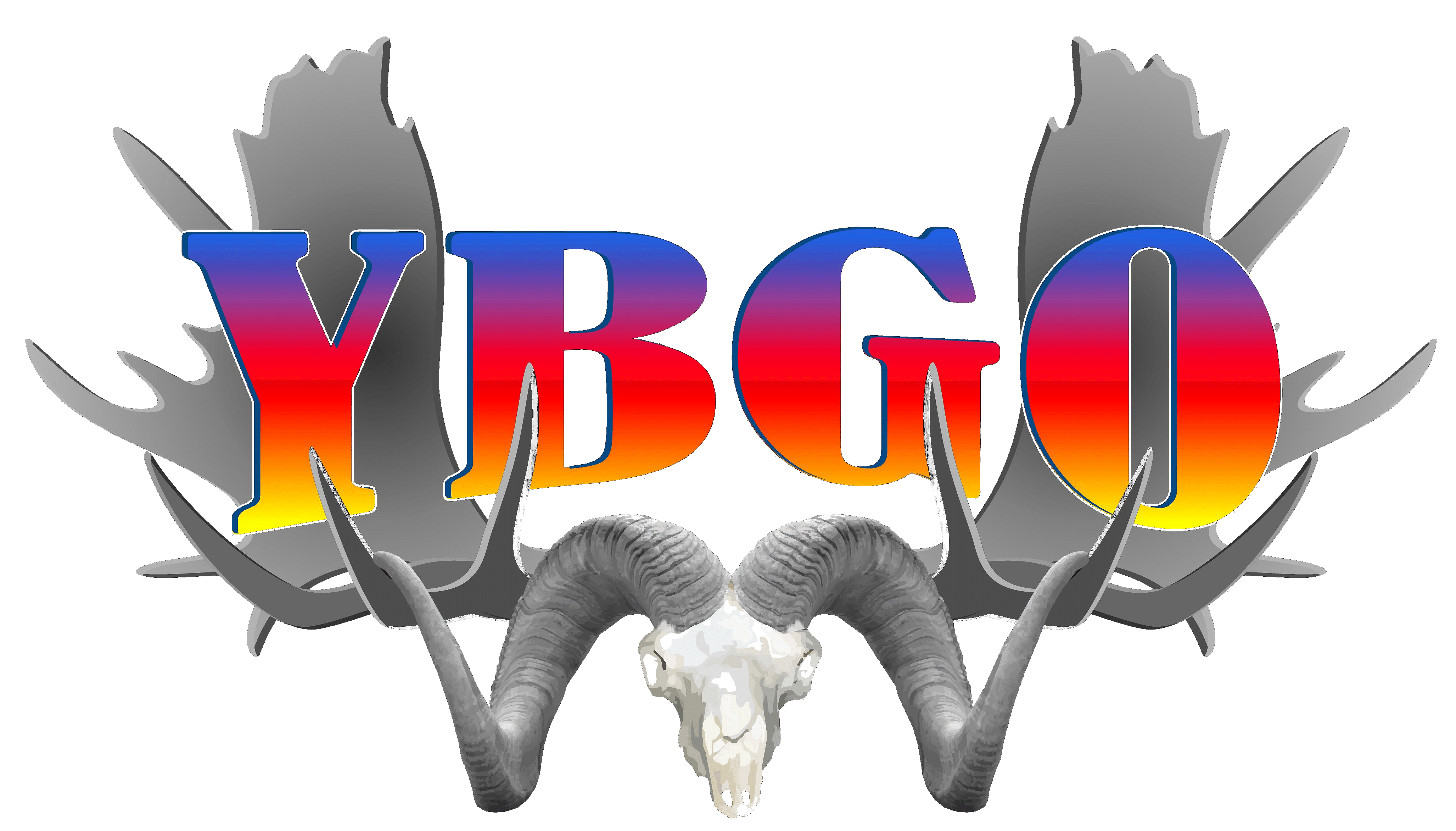 YBGOcolor logo